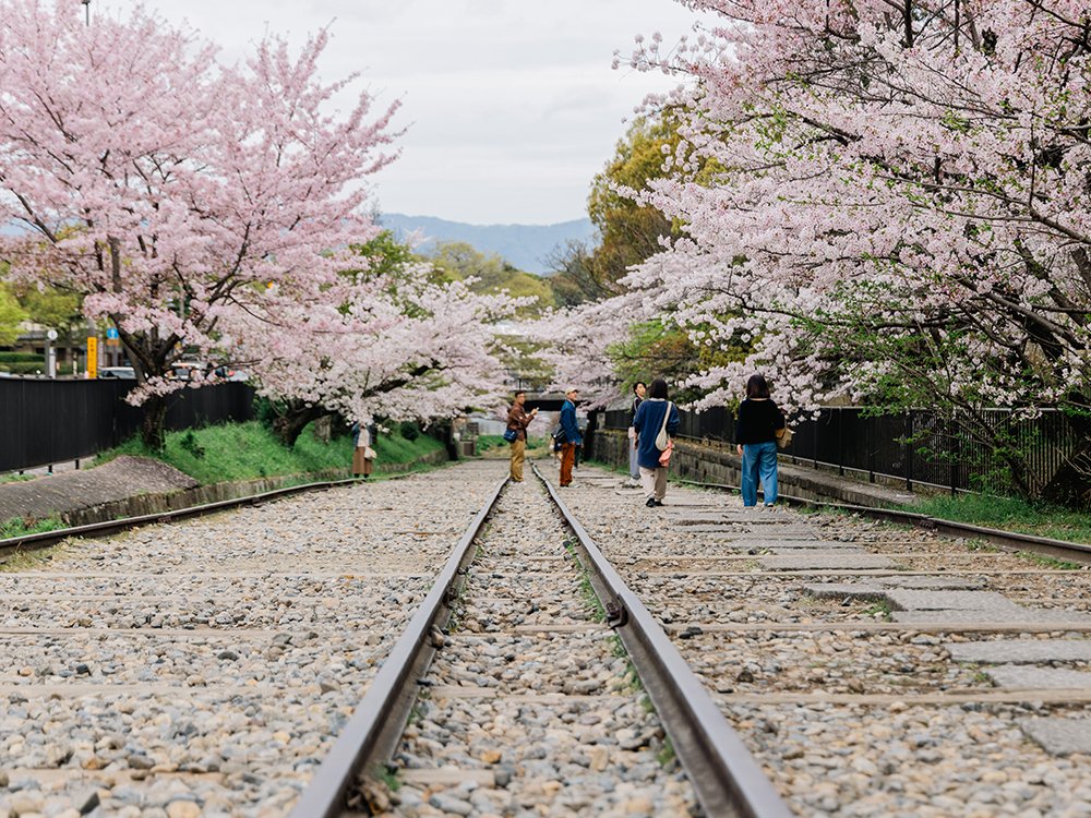 🌸 옛 엔유지 정원 (규엔유지테이엔) - 국가지정명승 이미지 6